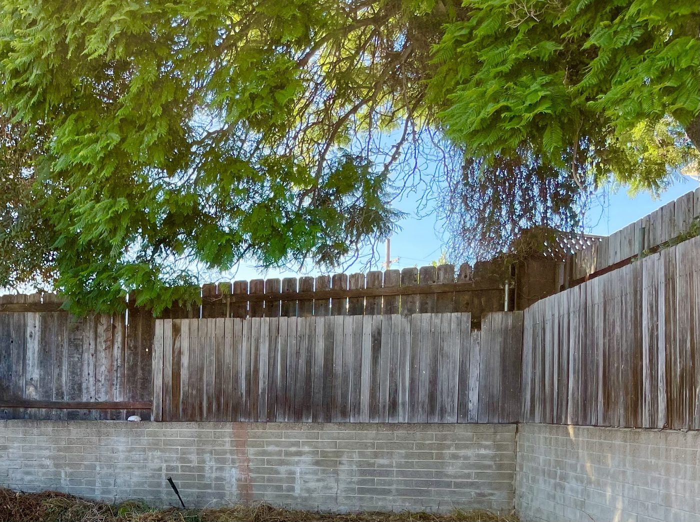 Fully cleared block wall and fence line after service