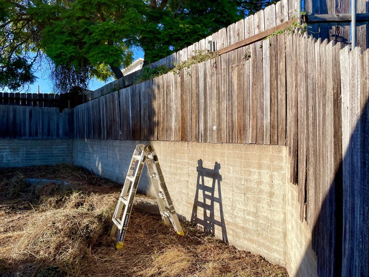 Wall cleared with a ladder in place and cut brush piled during service